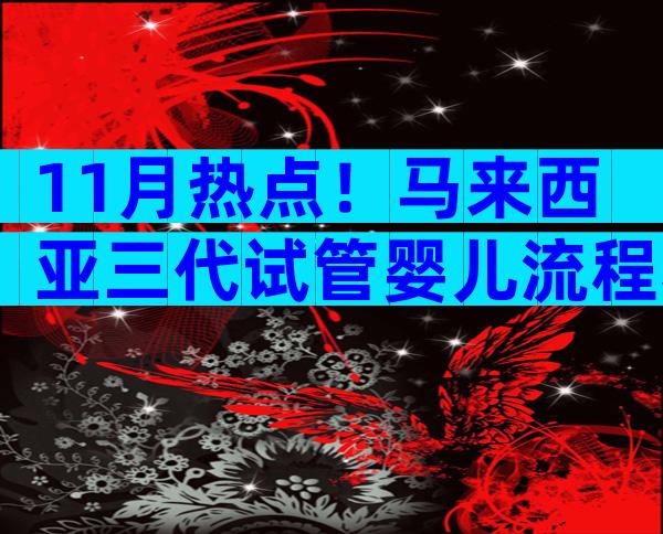11月热点！马来西亚三代试管婴儿流程和时间，助您实现家庭梦想    